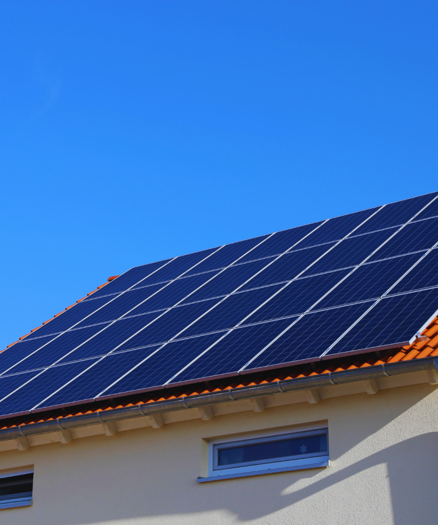 Untitled design - 2026-01-20T122728.434